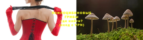 мяу мяу мука Алексин
