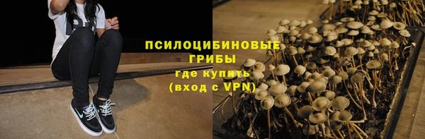 прущие грибы Ростов