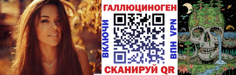 как найти закладки  blacksprut рабочий сайт  Псилоцибиновые грибы GOLDEN TEACHER  Коркино 