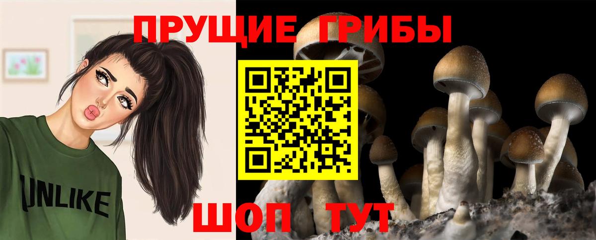 Псилоцибиновые грибы MAGIC MUSHROOMS Коркино