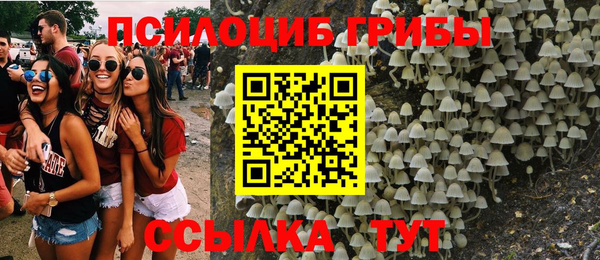 Коркино  Галлюциногенные грибы ЛСД  Вход с VPN 